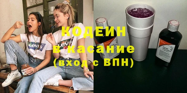 молекула духа Семилуки