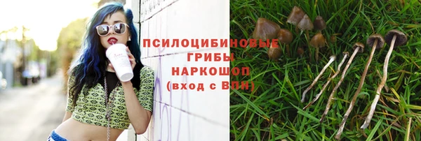 прущая мука Белокуриха