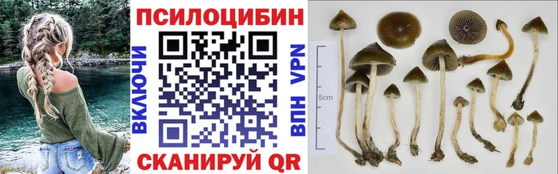 Галлюциногенные грибы GOLDEN TEACHER Железноводск